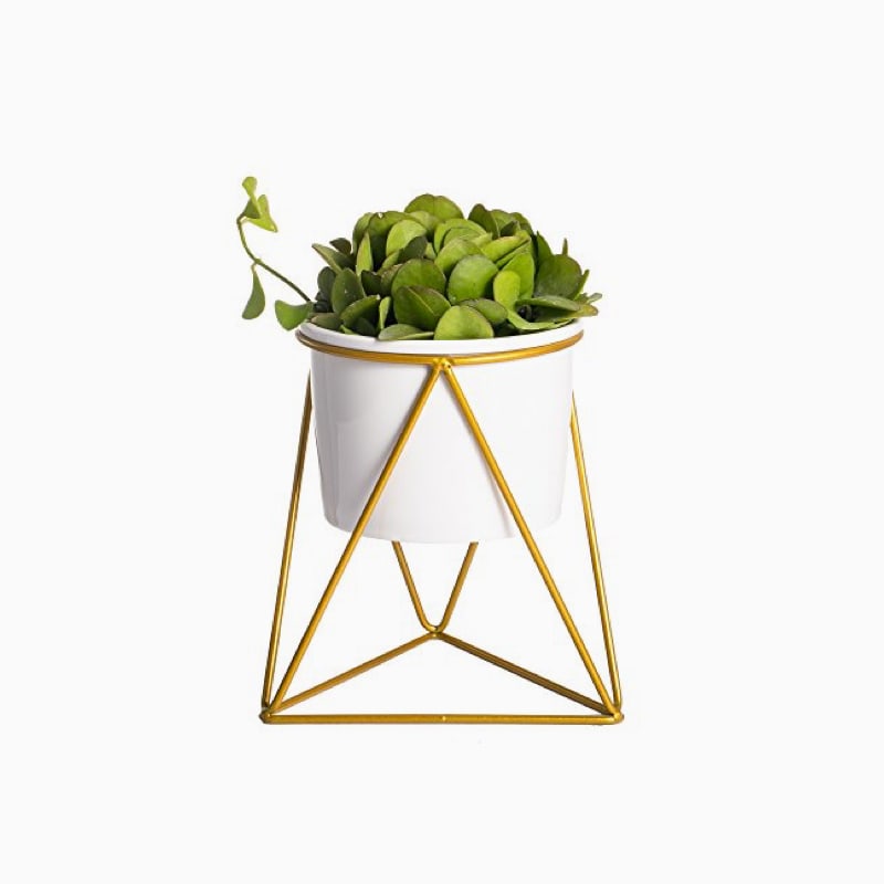 product-01 Aliquet auctor sem